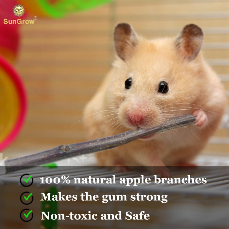 SunGrow Apple Sticks, Wood Chew Sticks for Rabbits, Chinchillas, Bunny, Hamster, Squirrel, Guinea Pigs, Small Animals Molar Pet Chew Toys Treat for Teeth Grinding 200g (7 oz) - Image 4